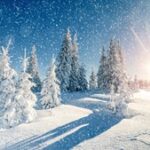 ついに2024年「共通テスト」開始です！！